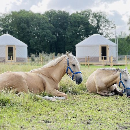 Magnolia Hoeve - Unieke Bestemming Voor Paardenliefhebbers En Bijzondere Overnachtingen In De Natuur Ledeacker Exteriör bild