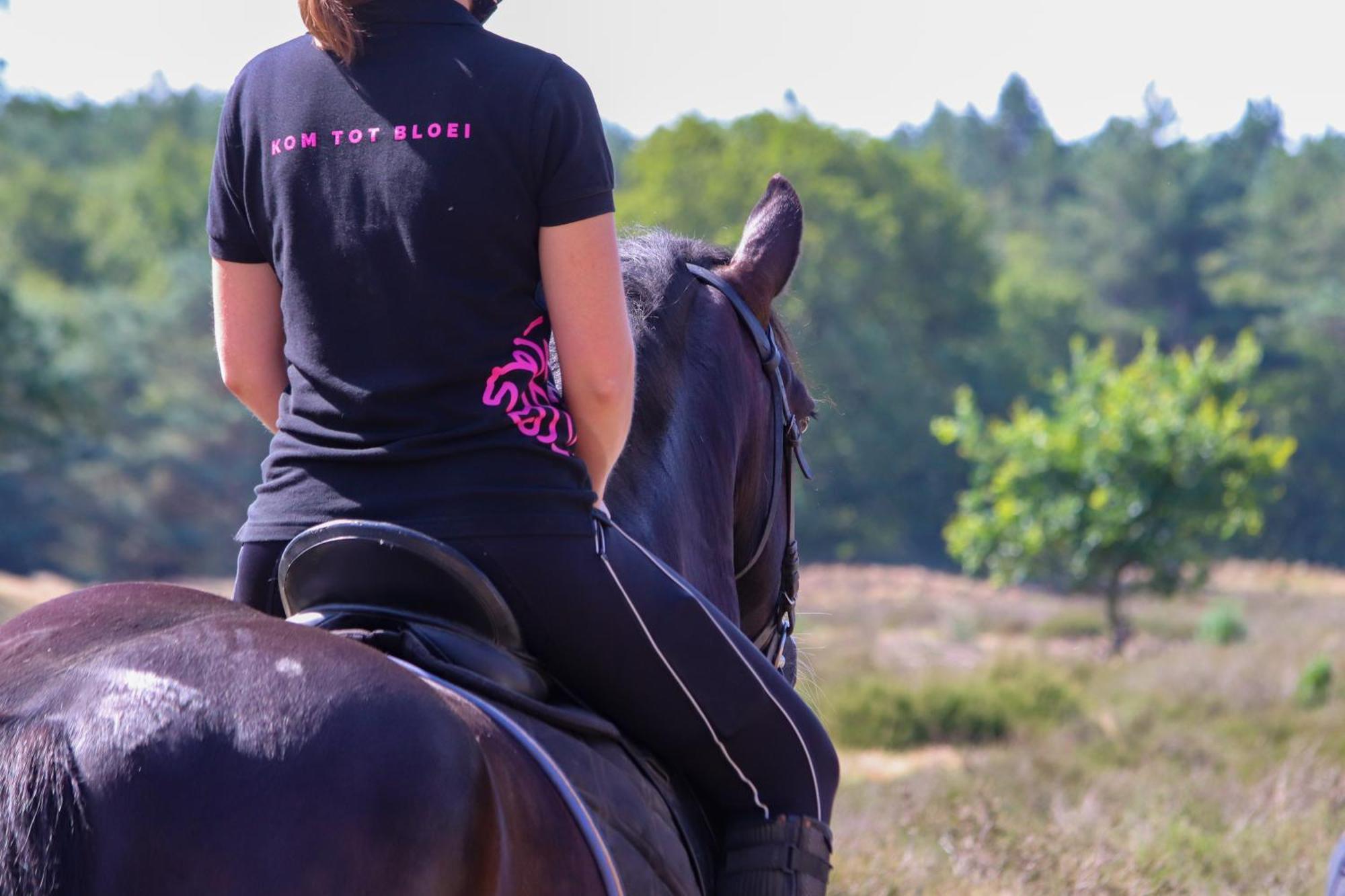 Magnolia Hoeve - Unieke Bestemming Voor Paardenliefhebbers En Bijzondere Overnachtingen In De Natuur Ledeacker Exteriör bild