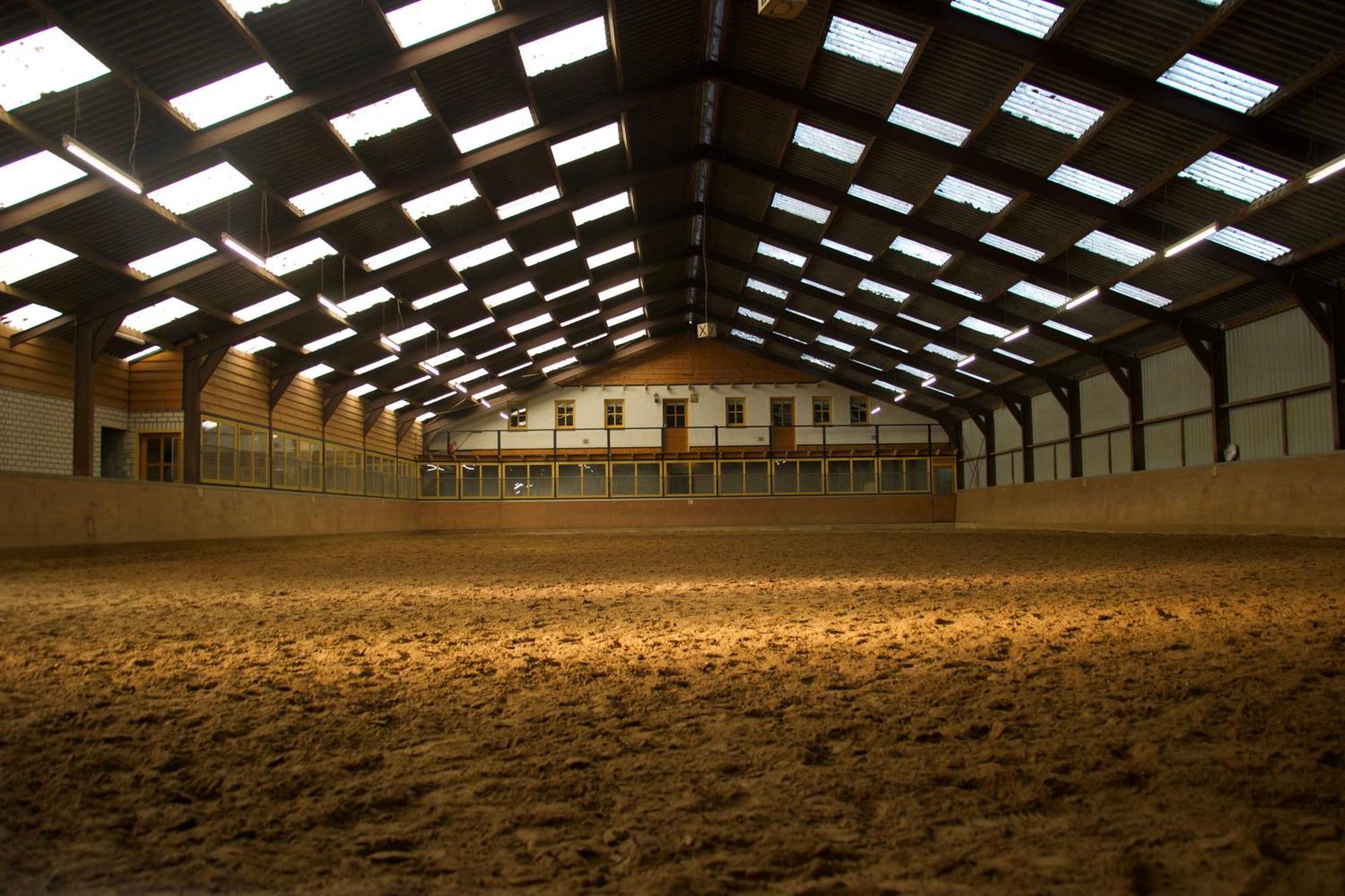 Magnolia Hoeve - Unieke Bestemming Voor Paardenliefhebbers En Bijzondere Overnachtingen In De Natuur Ledeacker Exteriör bild