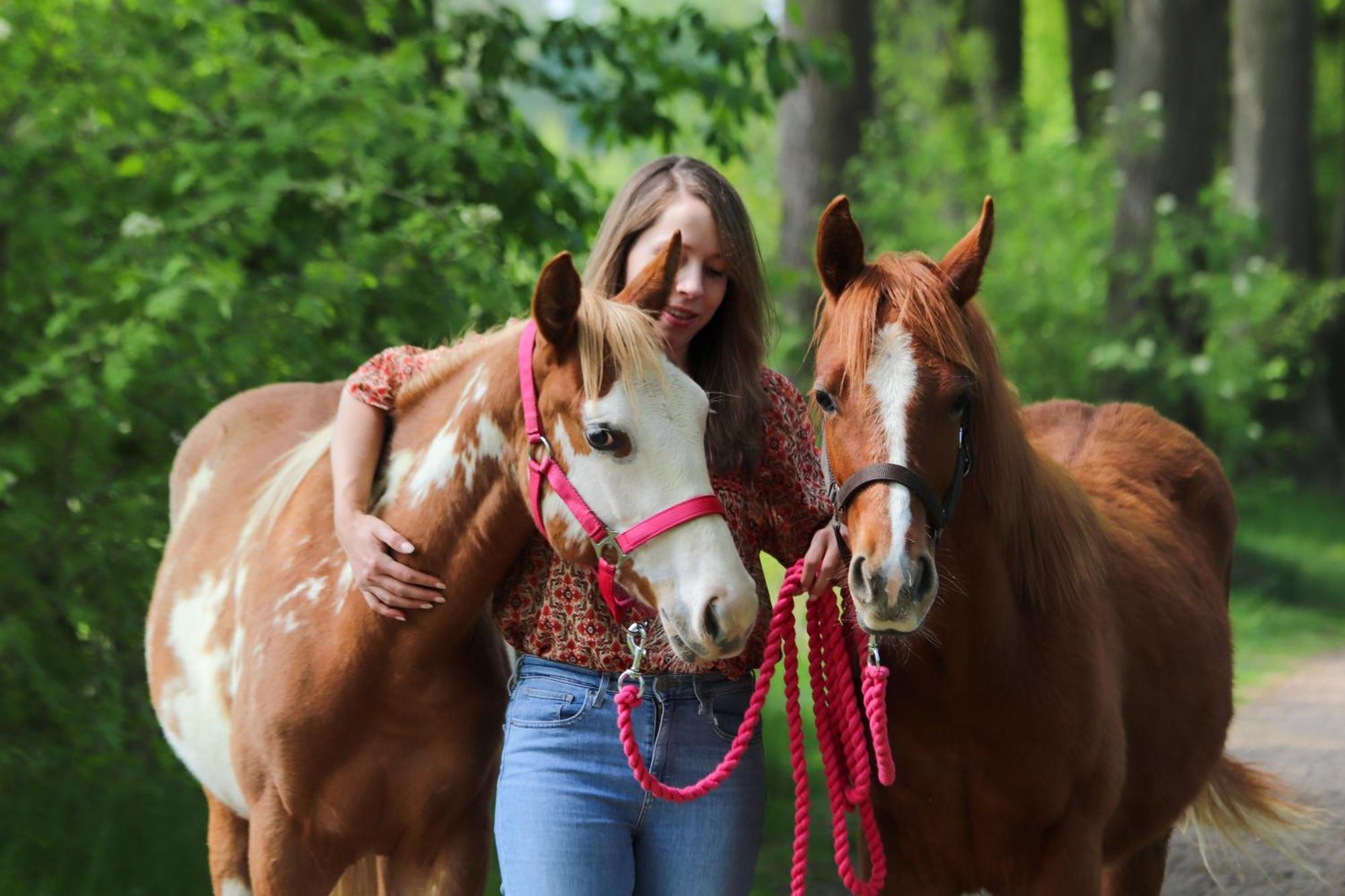 Magnolia Hoeve - Unieke Bestemming Voor Paardenliefhebbers En Bijzondere Overnachtingen In De Natuur Ledeacker Exteriör bild