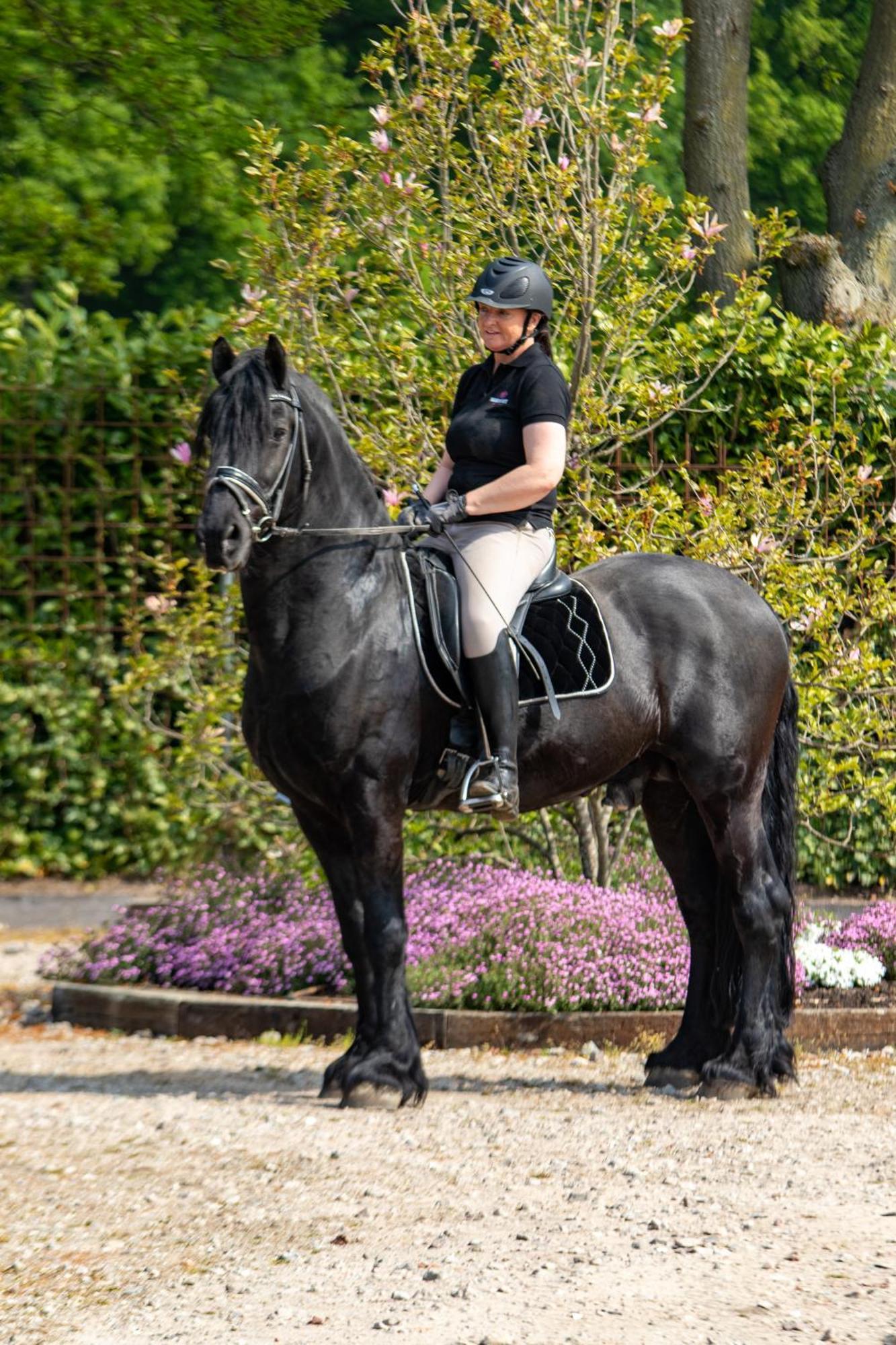 Magnolia Hoeve - Unieke Bestemming Voor Paardenliefhebbers En Bijzondere Overnachtingen In De Natuur Ledeacker Exteriör bild