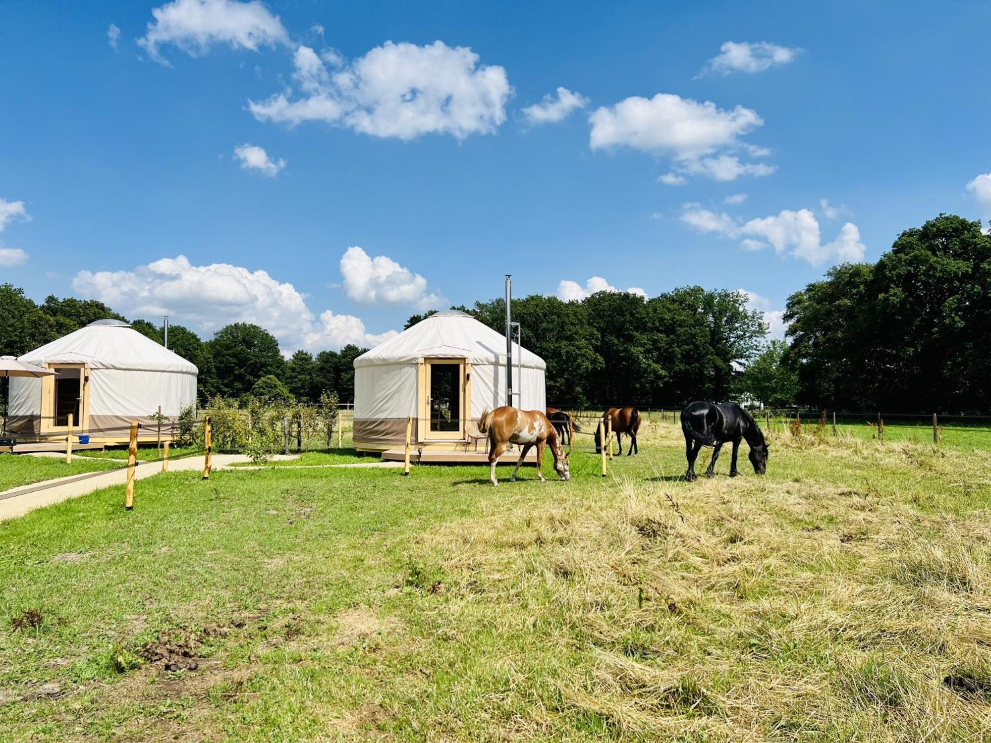Magnolia Hoeve - Unieke Bestemming Voor Paardenliefhebbers En Bijzondere Overnachtingen In De Natuur Ledeacker Exteriör bild