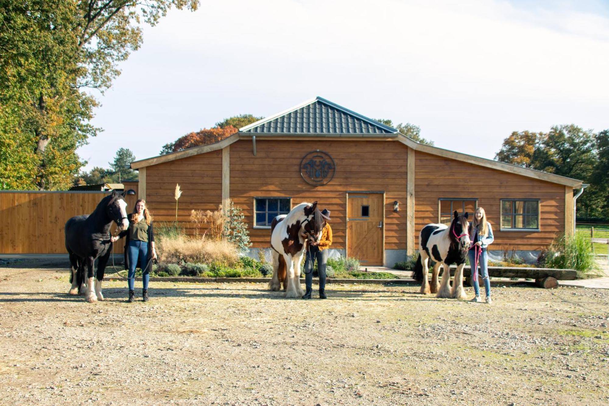 Magnolia Hoeve - Unieke Bestemming Voor Paardenliefhebbers En Bijzondere Overnachtingen In De Natuur Ledeacker Exteriör bild