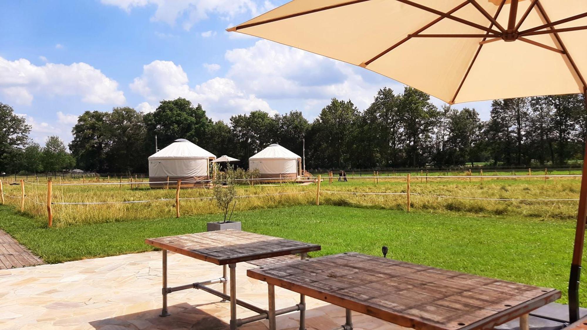 Magnolia Hoeve - Unieke Bestemming Voor Paardenliefhebbers En Bijzondere Overnachtingen In De Natuur Ledeacker Exteriör bild