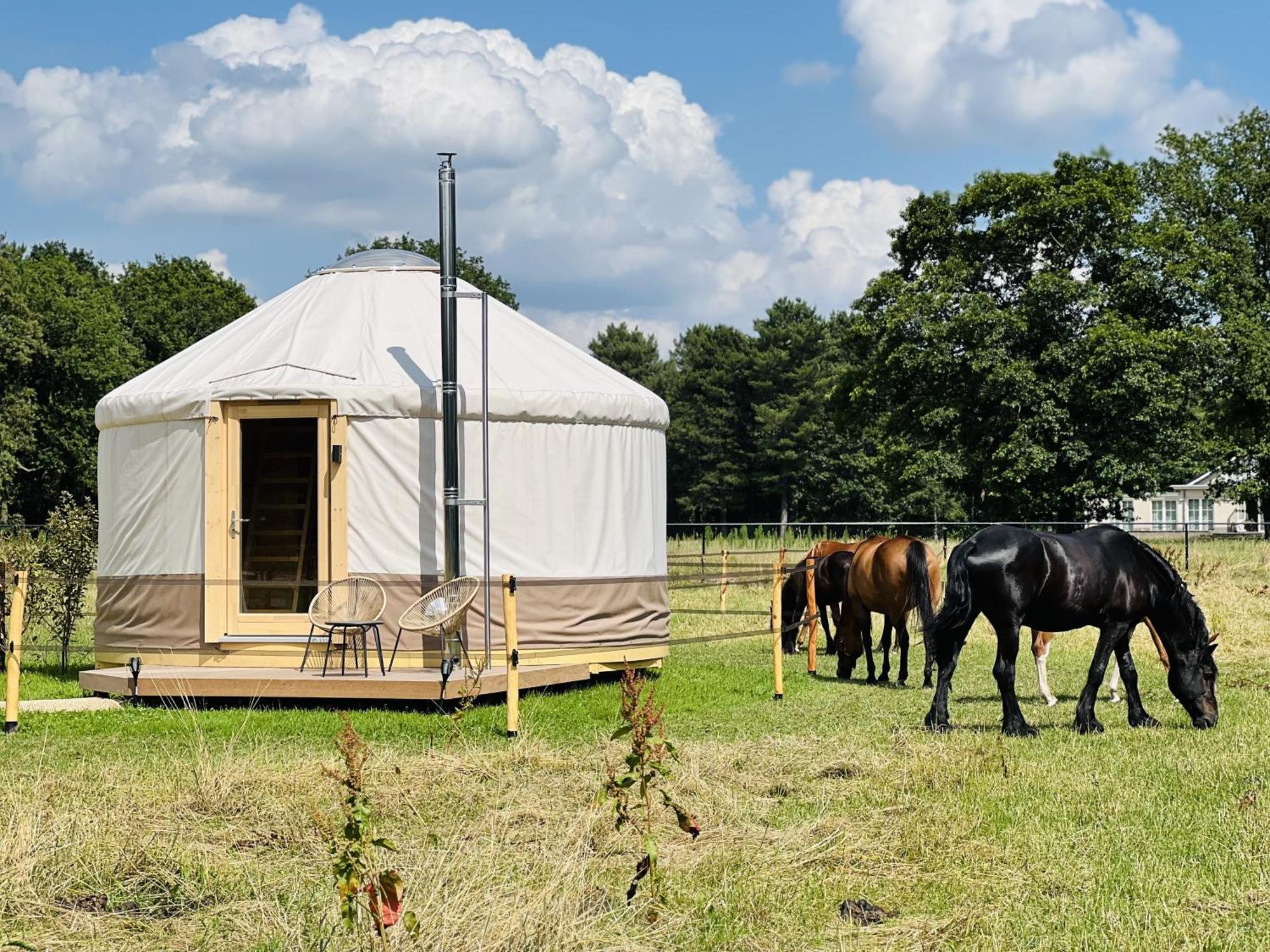 Magnolia Hoeve - Unieke Bestemming Voor Paardenliefhebbers En Bijzondere Overnachtingen In De Natuur Ledeacker Exteriör bild