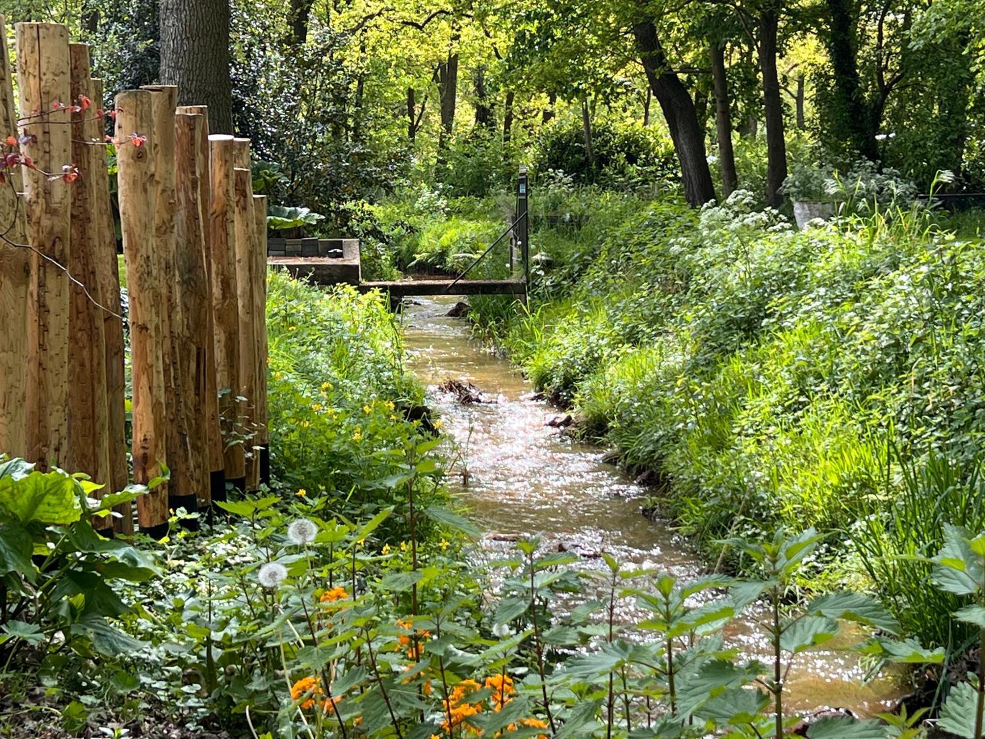 Magnolia Hoeve - Unieke Bestemming Voor Paardenliefhebbers En Bijzondere Overnachtingen In De Natuur Ledeacker Exteriör bild